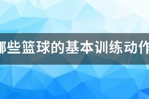 篮球训练动作方法集合图片视频教程
